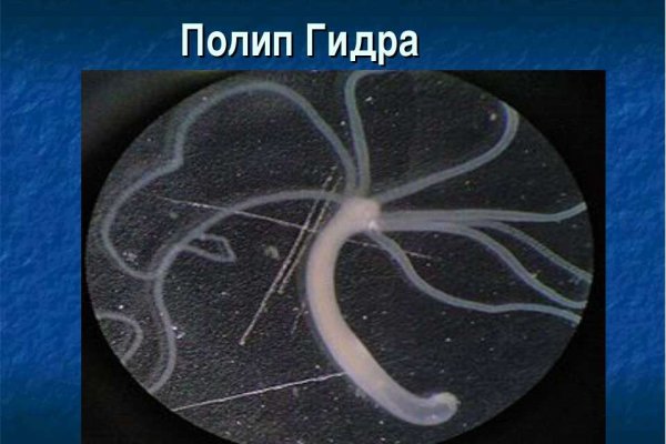 Кракен действующая ссылка