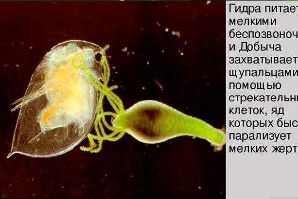Сайт кракен гидра