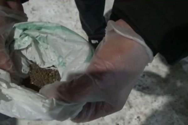 Список сайтов даркнета