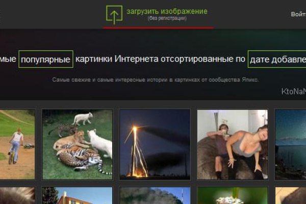 Сайт вместо гидры